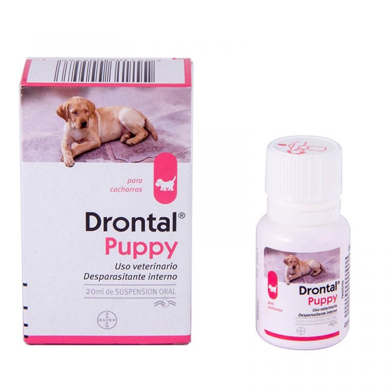 Drontal oral suspension for puppies dosage